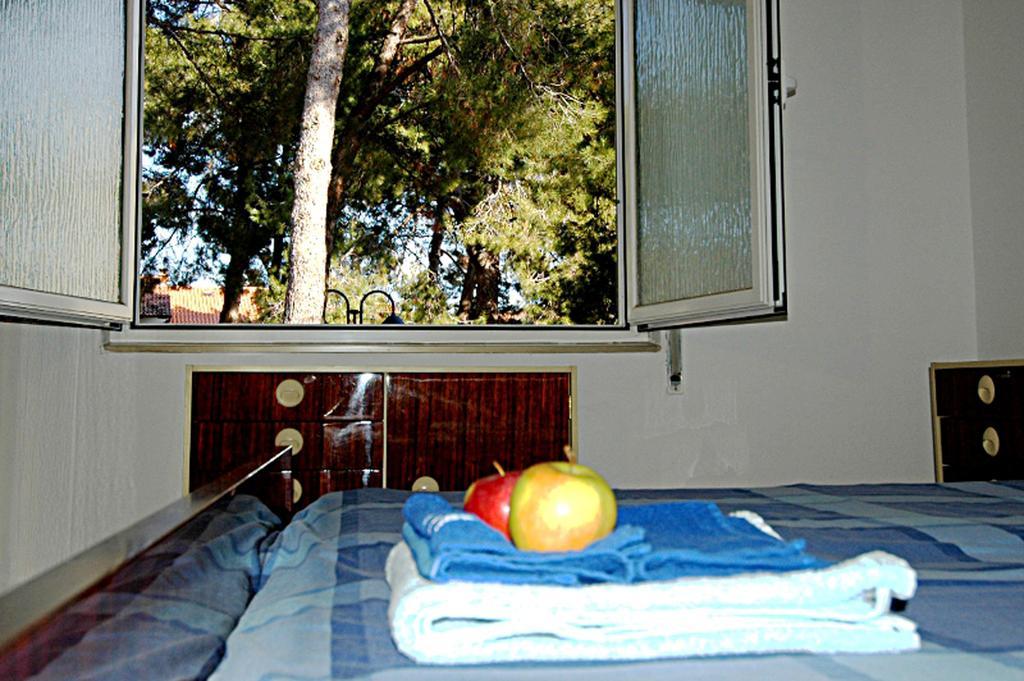 Faber Apartments Novigrad Istria 客房 照片